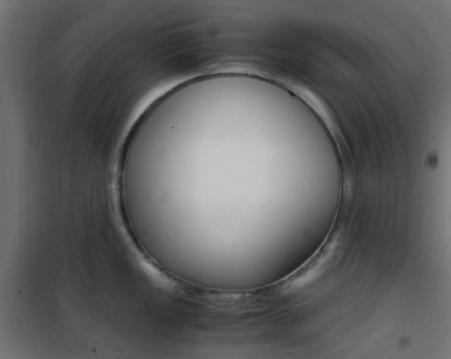 X0000101481149200807071237
