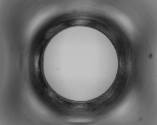 X0000101481150200807071237