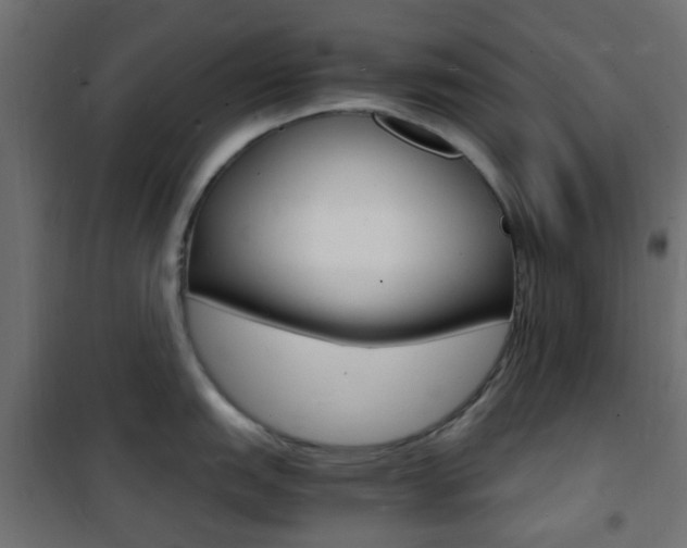 X0000101481151200807071237