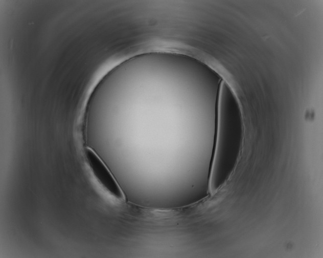 X0000101481152200807071237