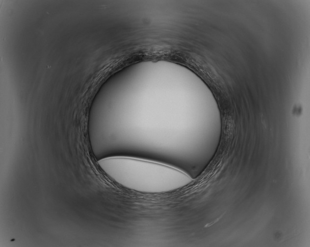 X0000101481153200807071236