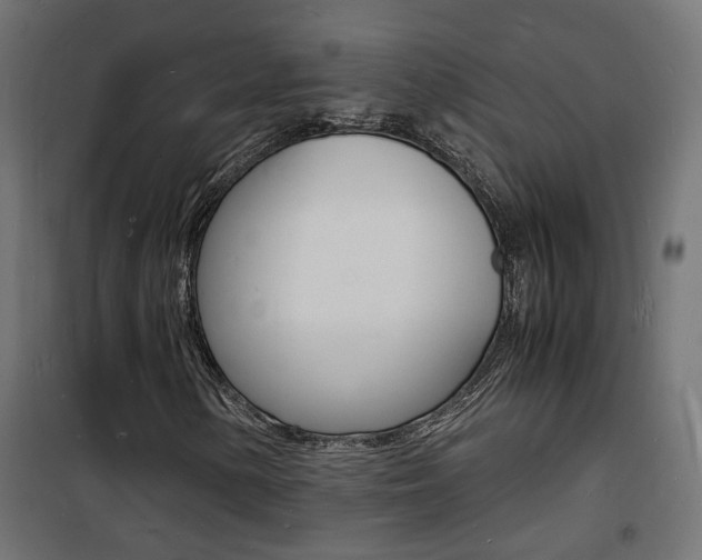X0000101481154200807071236