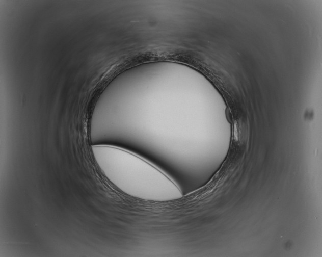 X0000101481155200807071236