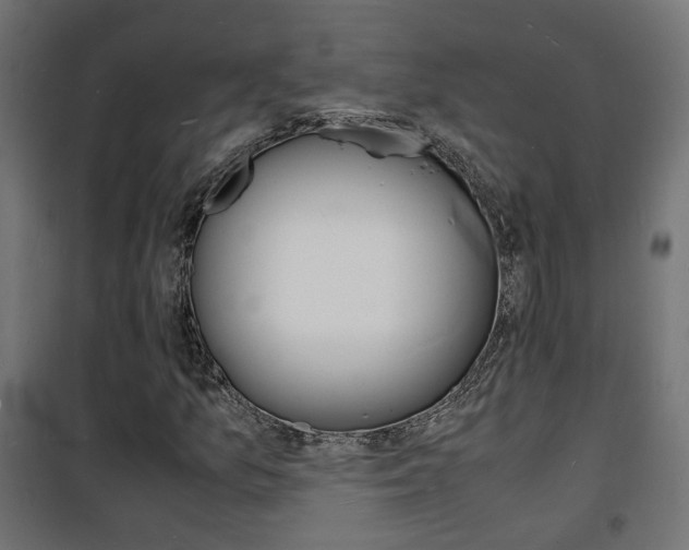 X0000101481157200807071236