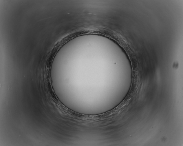 X0000101481158200807071236