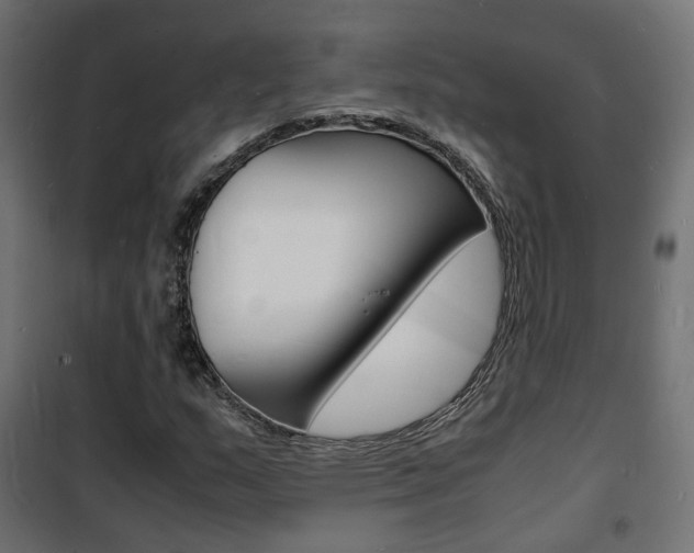 X0000101481159200807071236