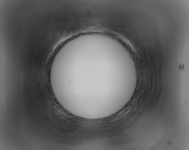 X0000101481160200807071236