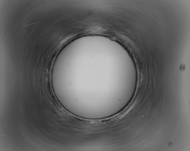 X0000101481161200807071236