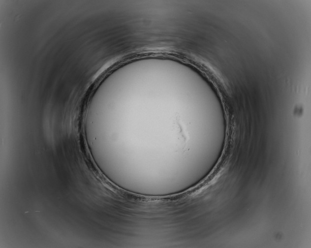 X0000101481162200807071236