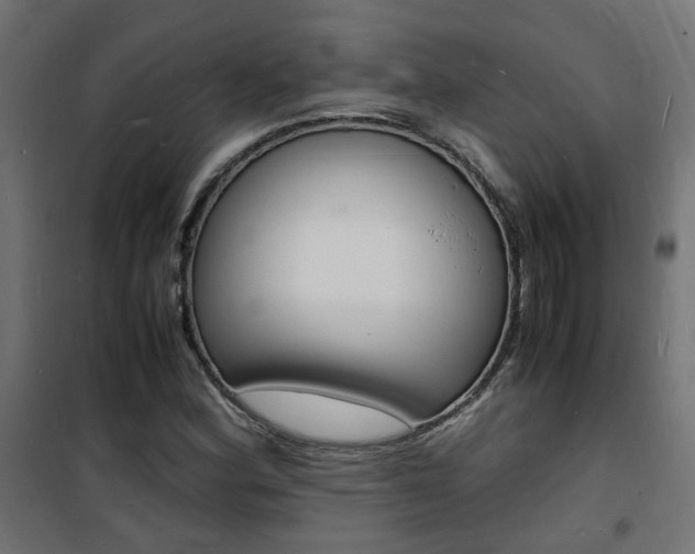 X0000101481164200807071236