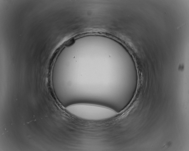 X0000101481165200807071236