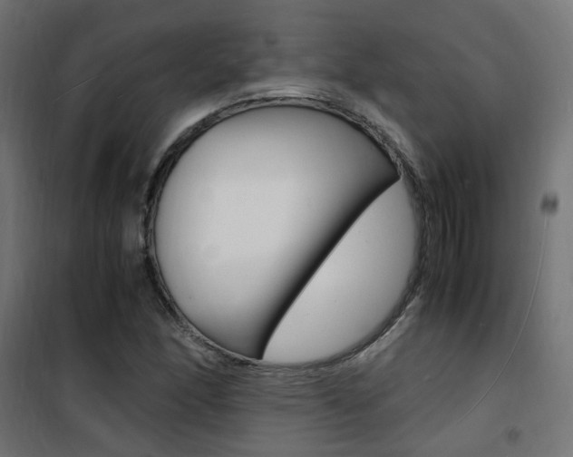 X0000101481166200807071236