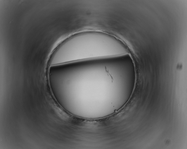X0000101481168200807071236