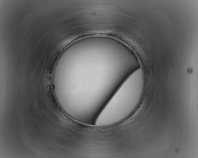X0000101481169200807071236