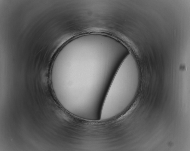 X0000101481170200807071236