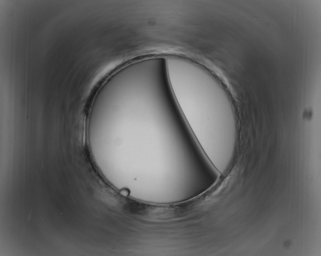 X0000101481171200807071236