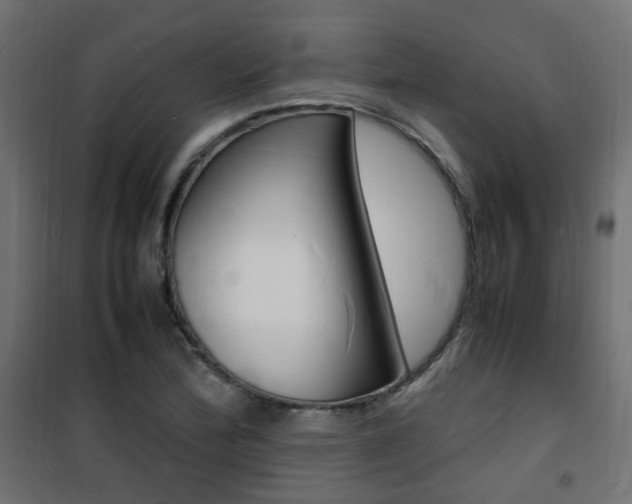 X0000101481172200807071236