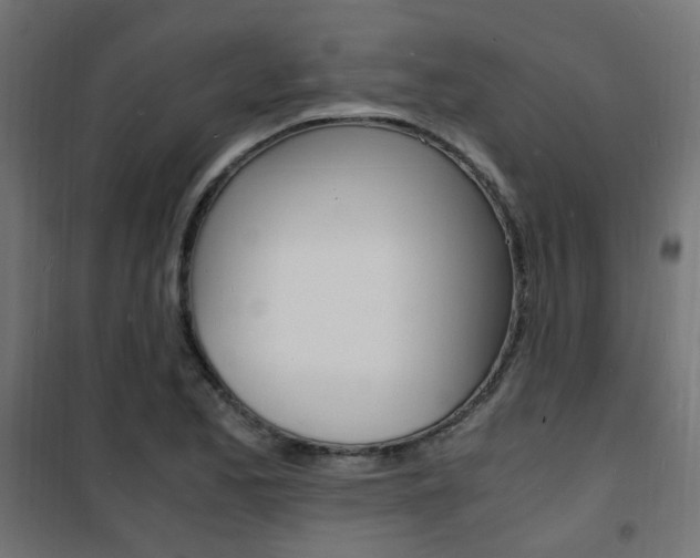 X0000101481173200807071236