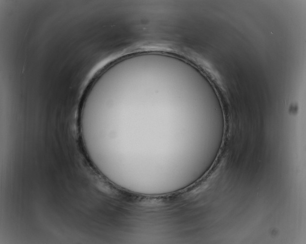 X0000101481174200807071236