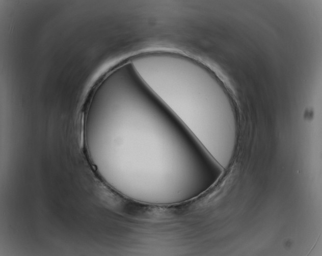 X0000101481175200807071236