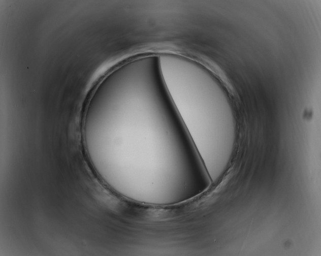 X0000101481176200807071236