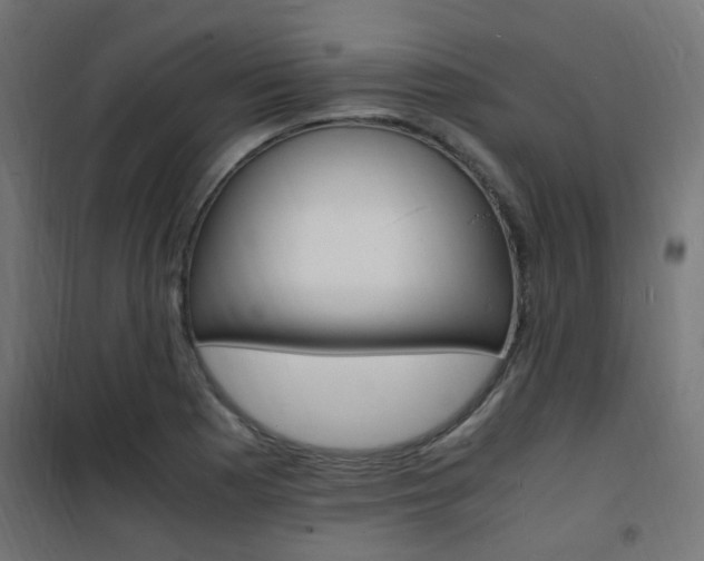 X0000101481177200807071236