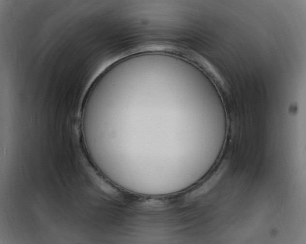 X0000101481178200807071236