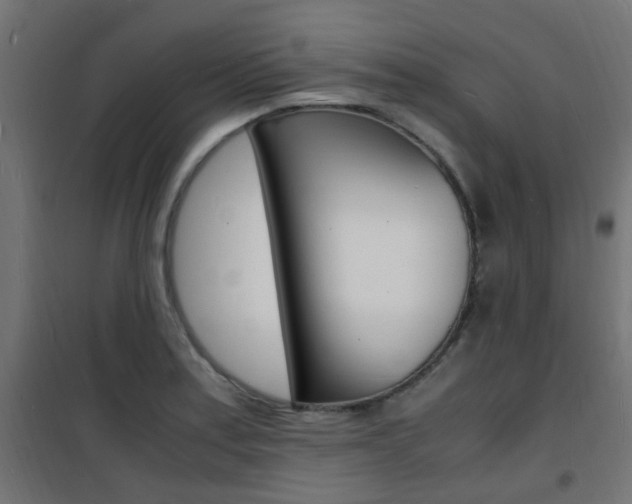 X0000101481179200807071236