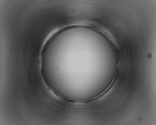 X0000101481180200807071236