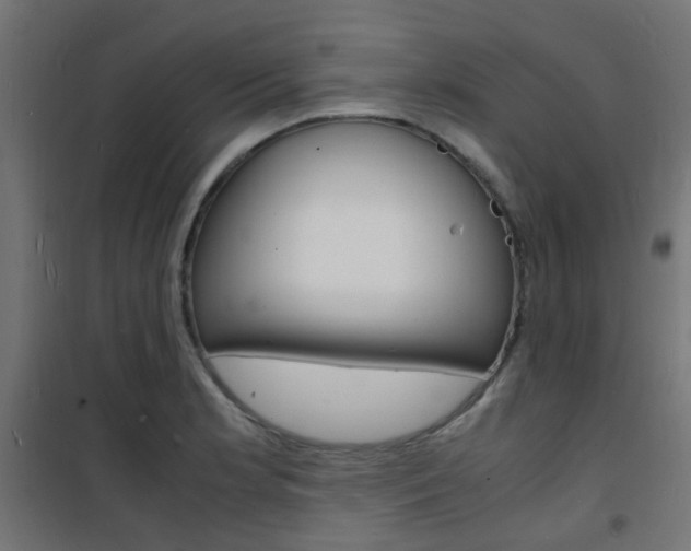 X0000101481181200807071236
