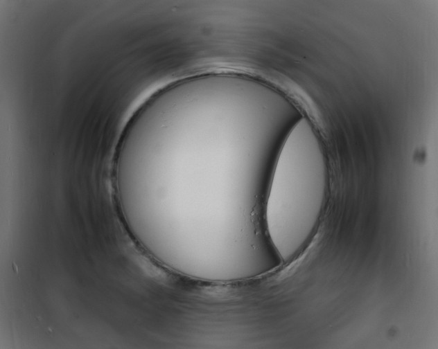 X0000101481182200807071236