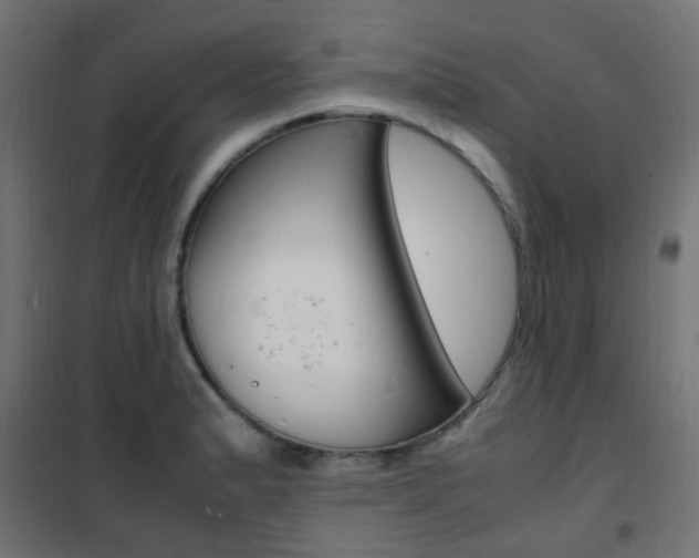 X0000101481183200807071236