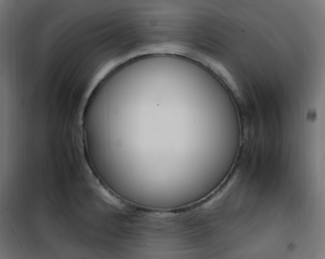 X0000101481184200807071236
