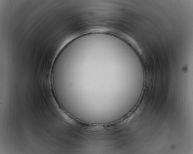 X0000101481186200807071236