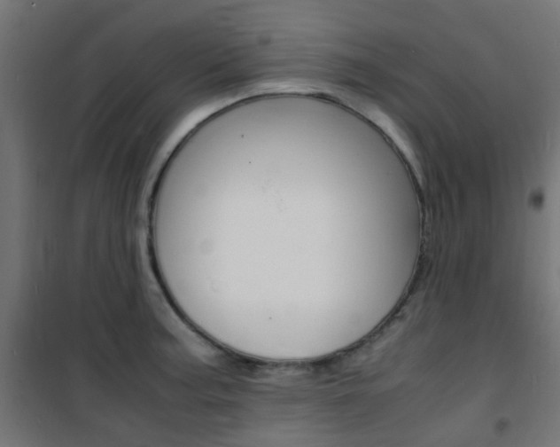 X0000101481187200807071236