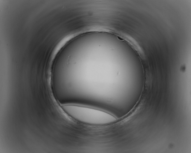 X0000101481188200807071236