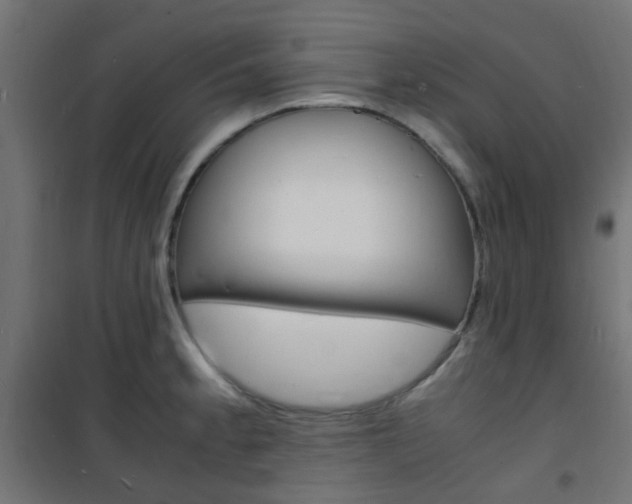 X0000101481189200807071236