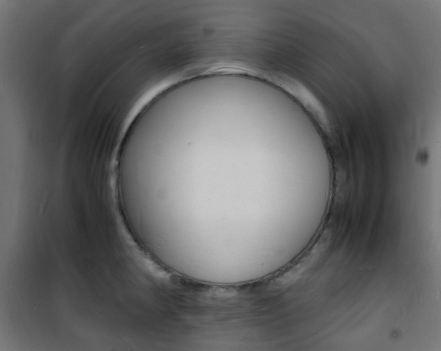 X0000101481190200807071236