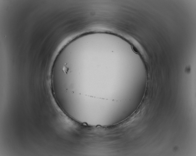 X0000101481191200807071236