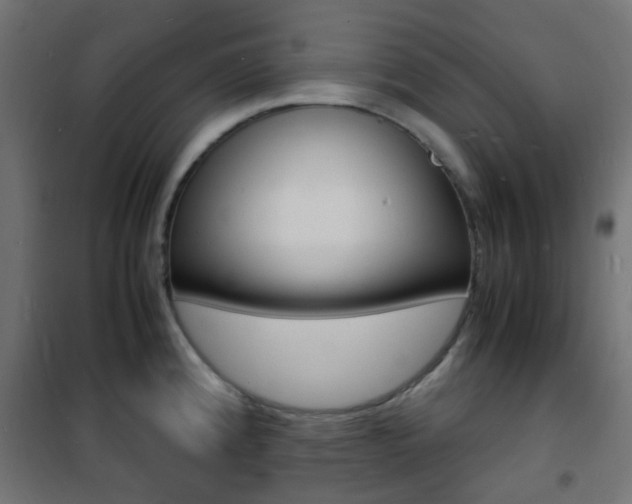 X0000101481192200807071236