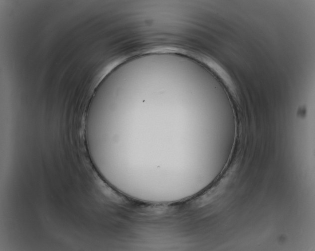 X0000101481193200807071236