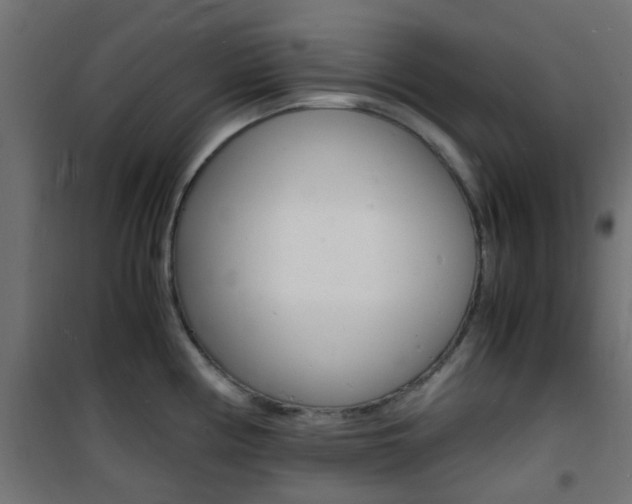 X0000101481194200807071236