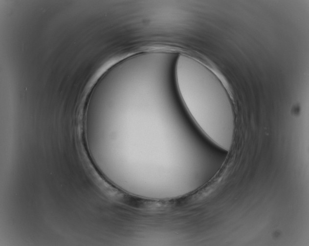 X0000101481195200807071236
