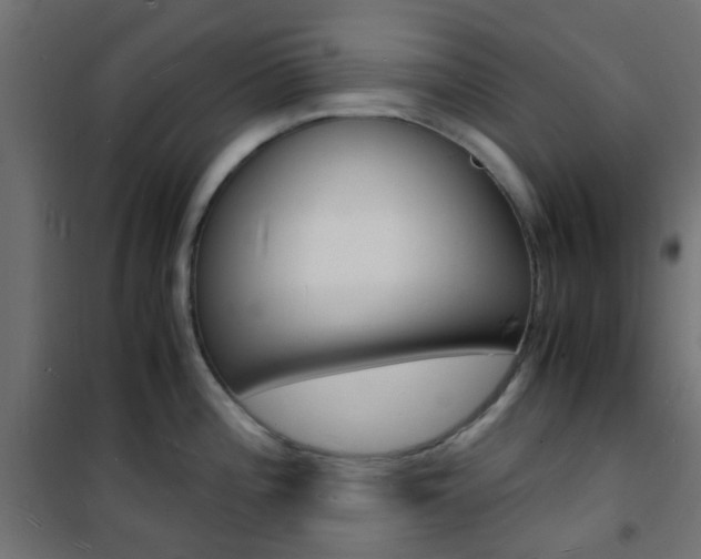 X0000101481196200807071236