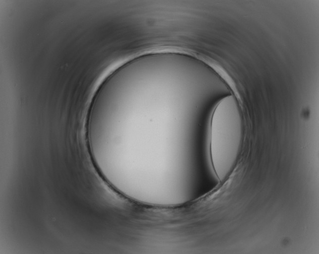 X0000101481197200807071236