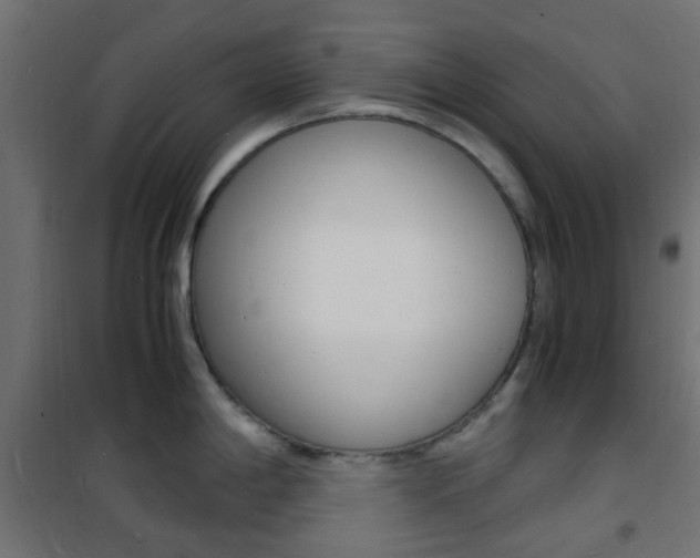 X0000101481198200807071236