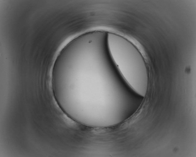 X0000101481199200807071236