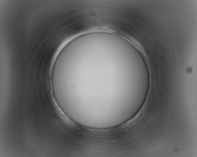 X0000101481200200807071236