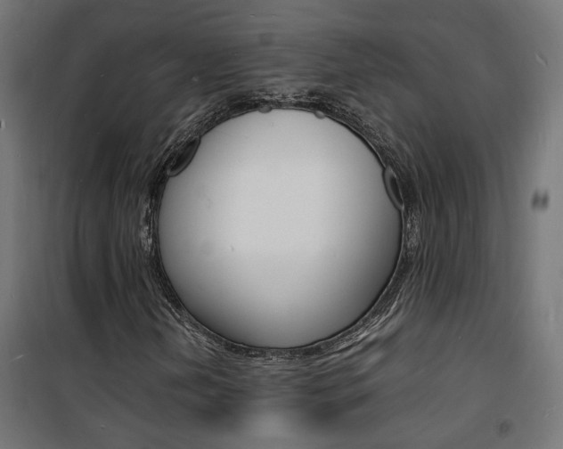 X0000101481202200807071235
