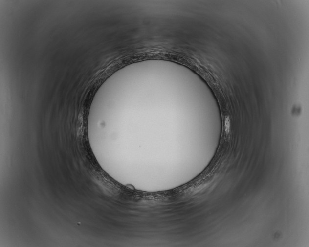 X0000101481203200807071235